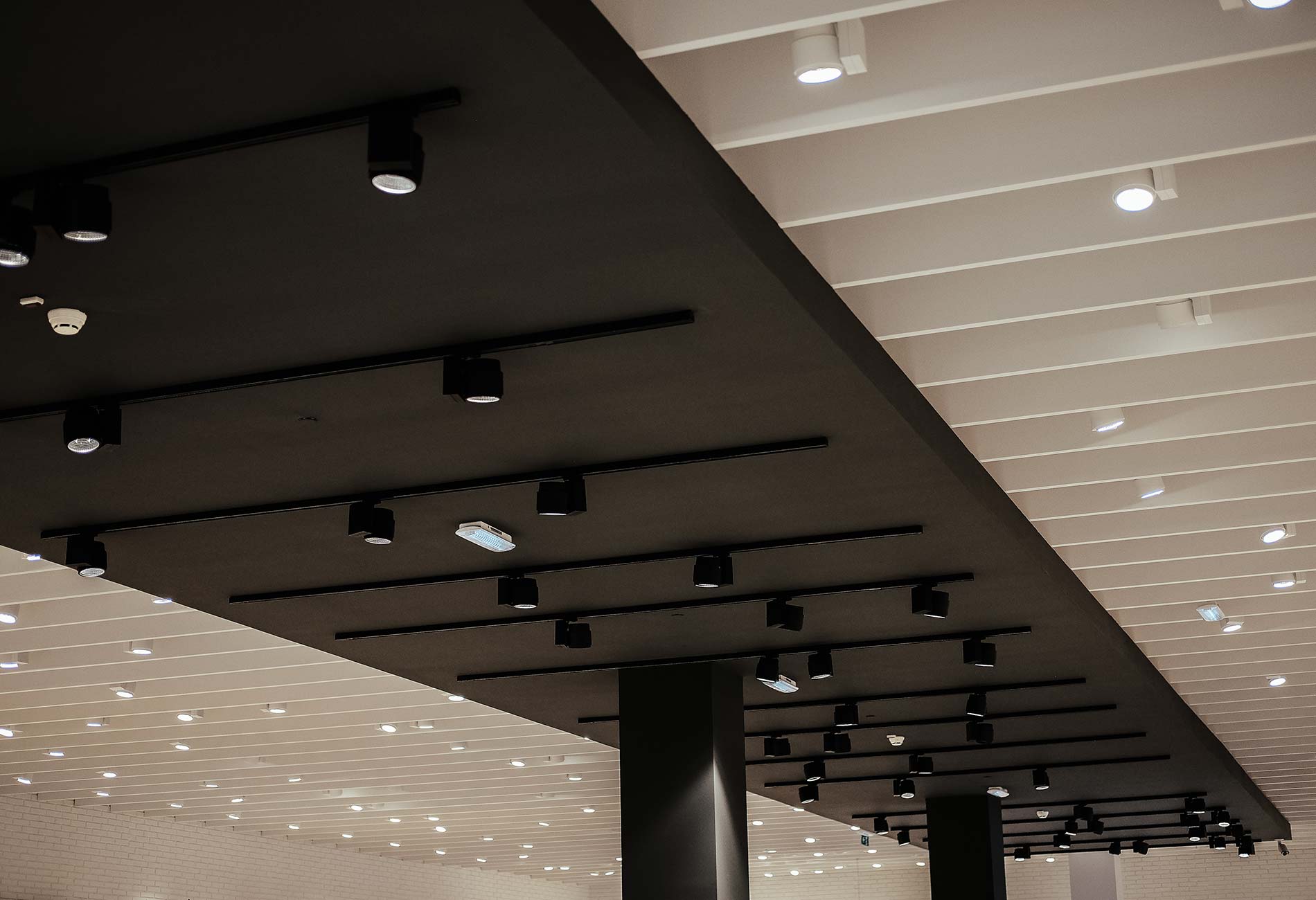 expertos iluminacion economiled