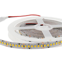 TIRA LED APOLO 24V IP20 9,6W 2700K 126Leds/m 10M/ROLLO CORTE 55MM