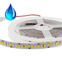 TIRA LED APOLO 24V IP65 9,6W 5000K 126Leds/m 10M/ROLLO CORTE 55MM